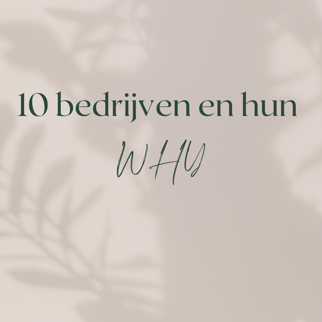 De WHY van 10 inspirerende bedrijven